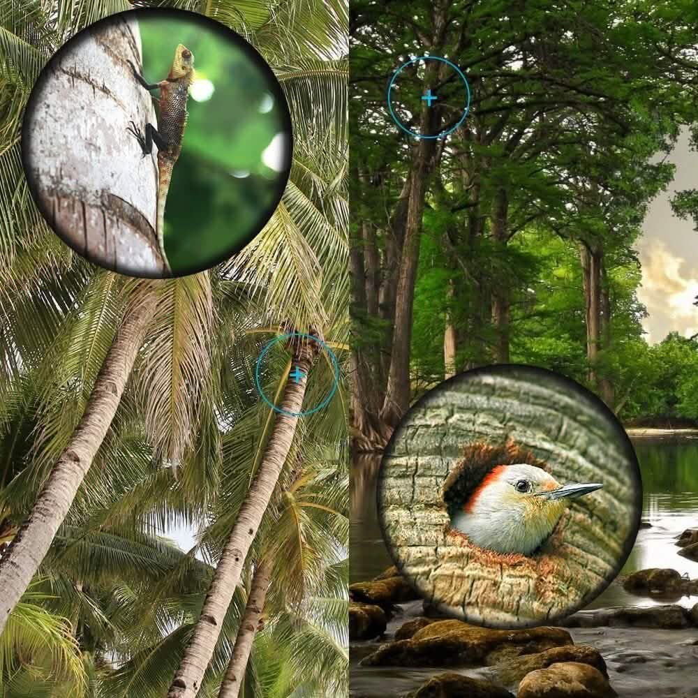 16x52 Monocular Dual Focus Optics Zoom Telescope