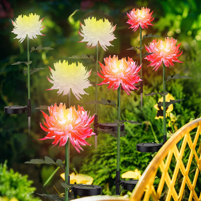 2-Pack: Solar LED Chrysanthemum Lights