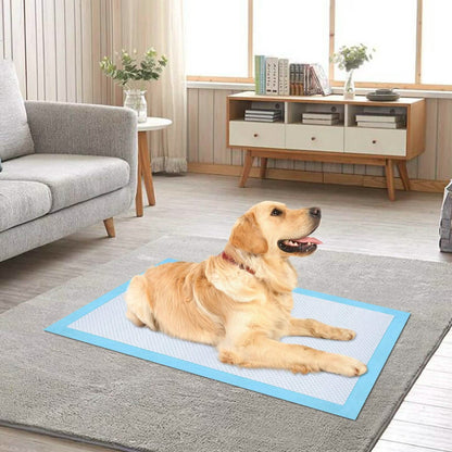 30-Piece: Ownpets Pet Dog Training Pads