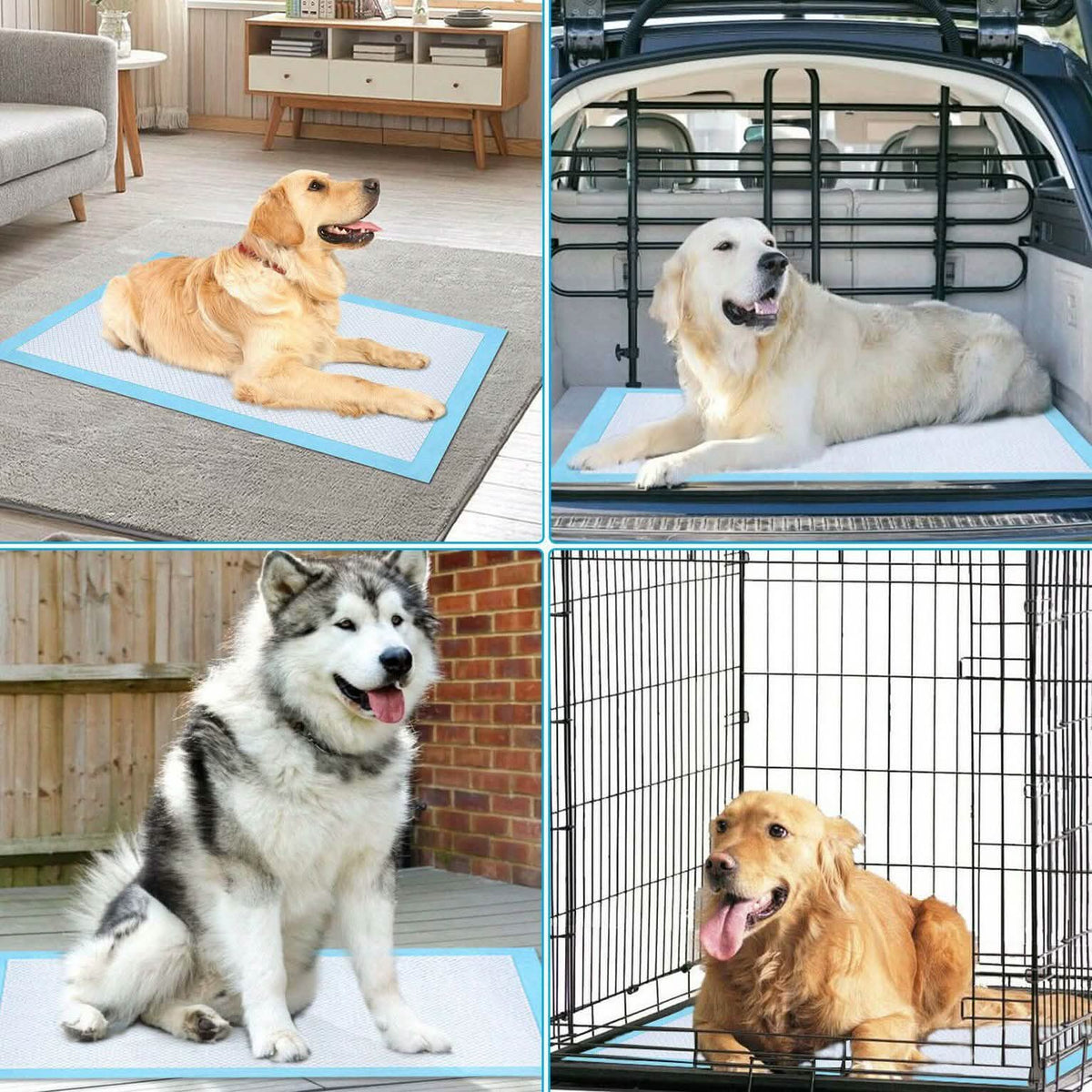30-Piece: Ownpets Pet Dog Training Pads