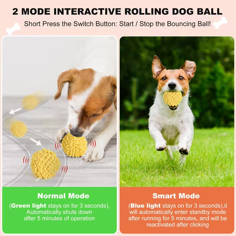 Smart Rolling & Bouncing Pet Ball – Motion-Activated