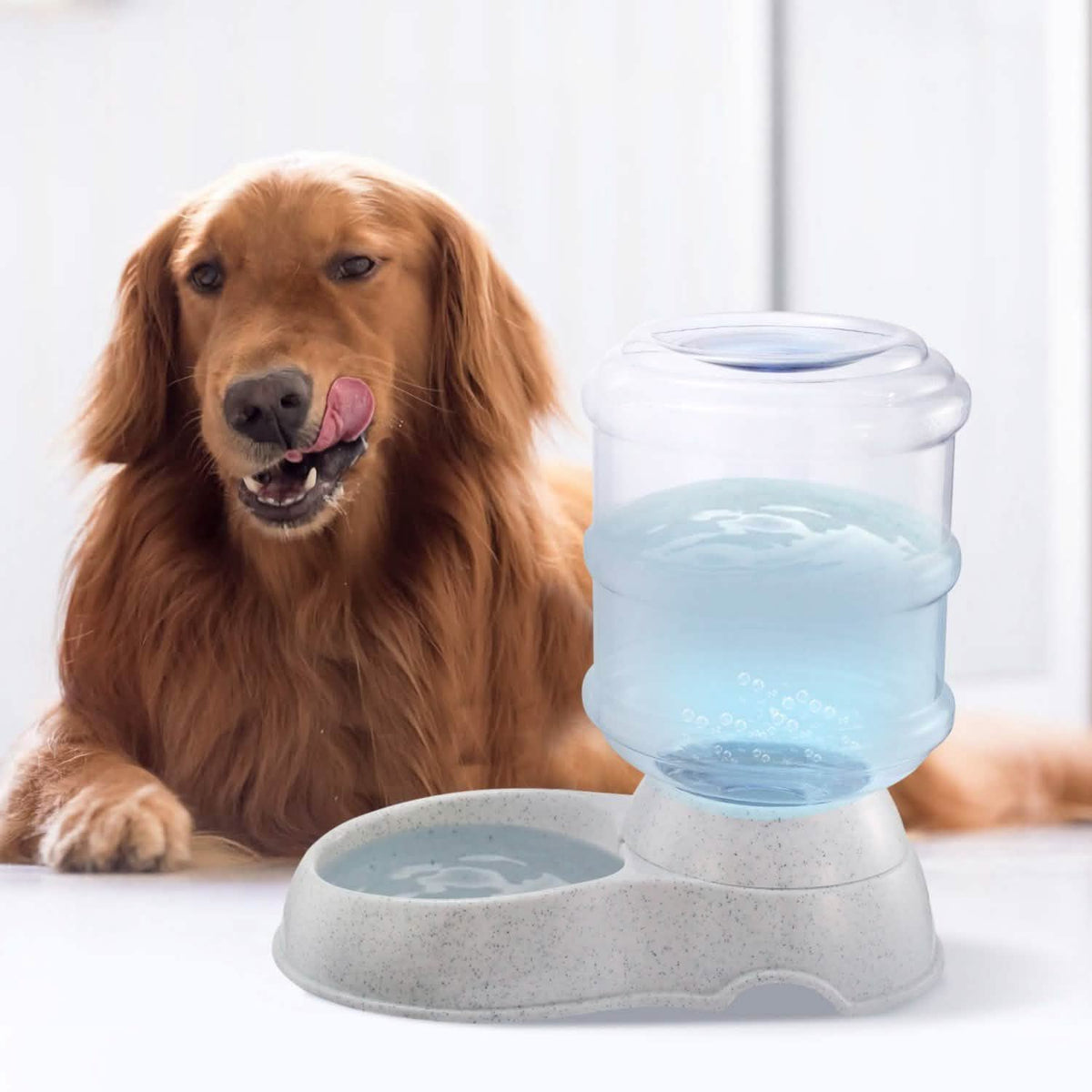 3.5L/1 Gal Pet Water Dispenser Self-Dispensing