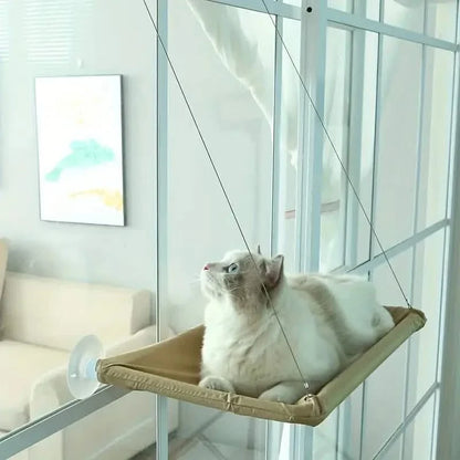 360¬∞ Cat Window Hammock: A Space-Saving Sunny Seat for Indoor Cats!