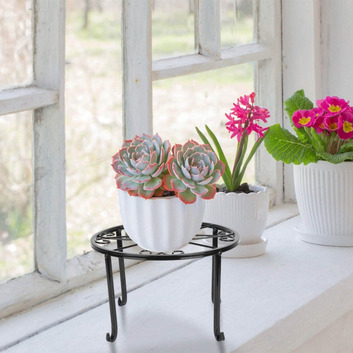 4-Pack: Iron Plotted Plant Stands