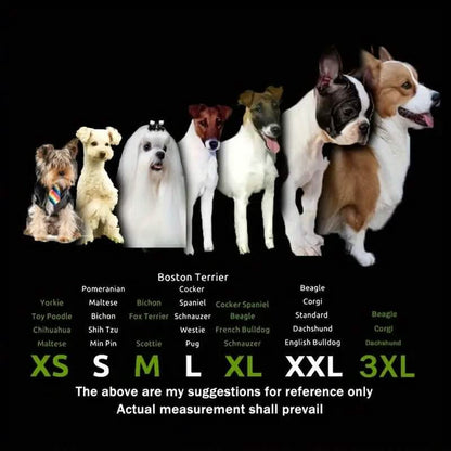 4-Pieces: Water-Resistant Dog Bootie Shoes