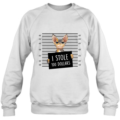 Personalized Bad Cat Shirt/Pullover Hoodie - Up to 2 Cats - Gift Idea For Cat Lover - Yes, We're Aware Of How Obnoxious