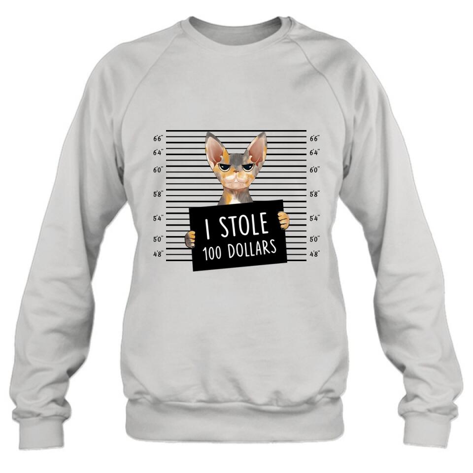 Personalized Bad Cat Shirt/Pullover Hoodie - Up to 2 Cats - Gift Idea For Cat Lover - Yes, We're Aware Of How Obnoxious