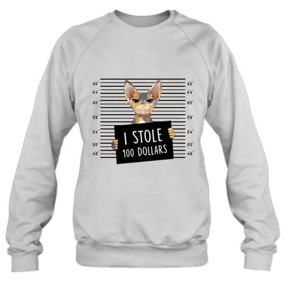 Personalized Bad Cat Shirt/Pullover Hoodie - Up to 2 Cats - Gift Idea For Cat Lover - Yes, We're Aware Of How Obnoxious