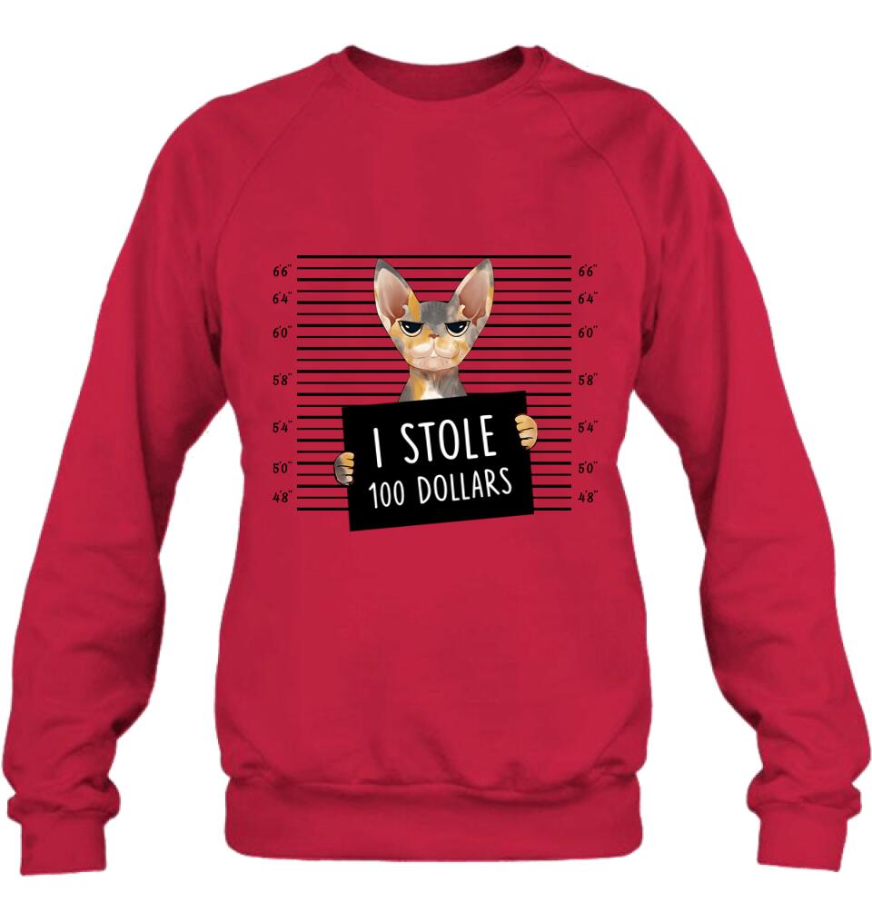 Personalized Bad Cat Shirt/Pullover Hoodie - Up to 2 Cats - Gift Idea For Cat Lover - Yes, We're Aware Of How Obnoxious