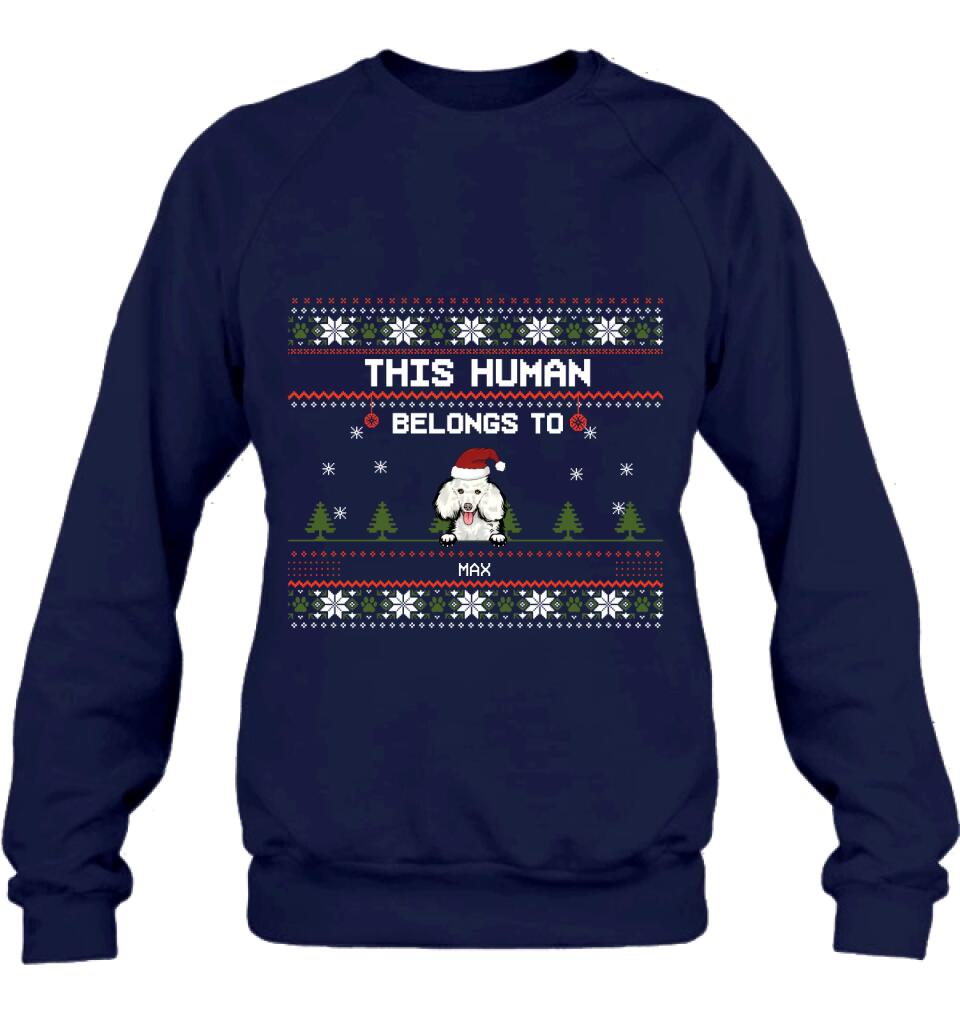 Personalized Dog Mom T-shirt/Long Sleeve/Sweatshirt/Hoodie - Up to 5 Dogs - Christmas Gift For Dog Lover - This Human Belongs To