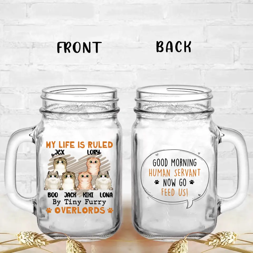 Personalized Cats Mason Jug - Up to 3 Cats - Best Gift Idea For Cat Lovers - Good Morning Human Servant Now Go Feed Us!