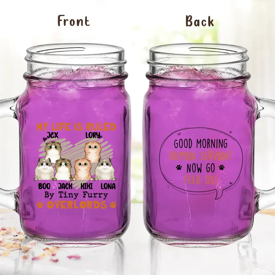 Personalized Cats Mason Jug - Up to 3 Cats - Best Gift Idea For Cat Lovers - Good Morning Human Servant Now Go Feed Us!