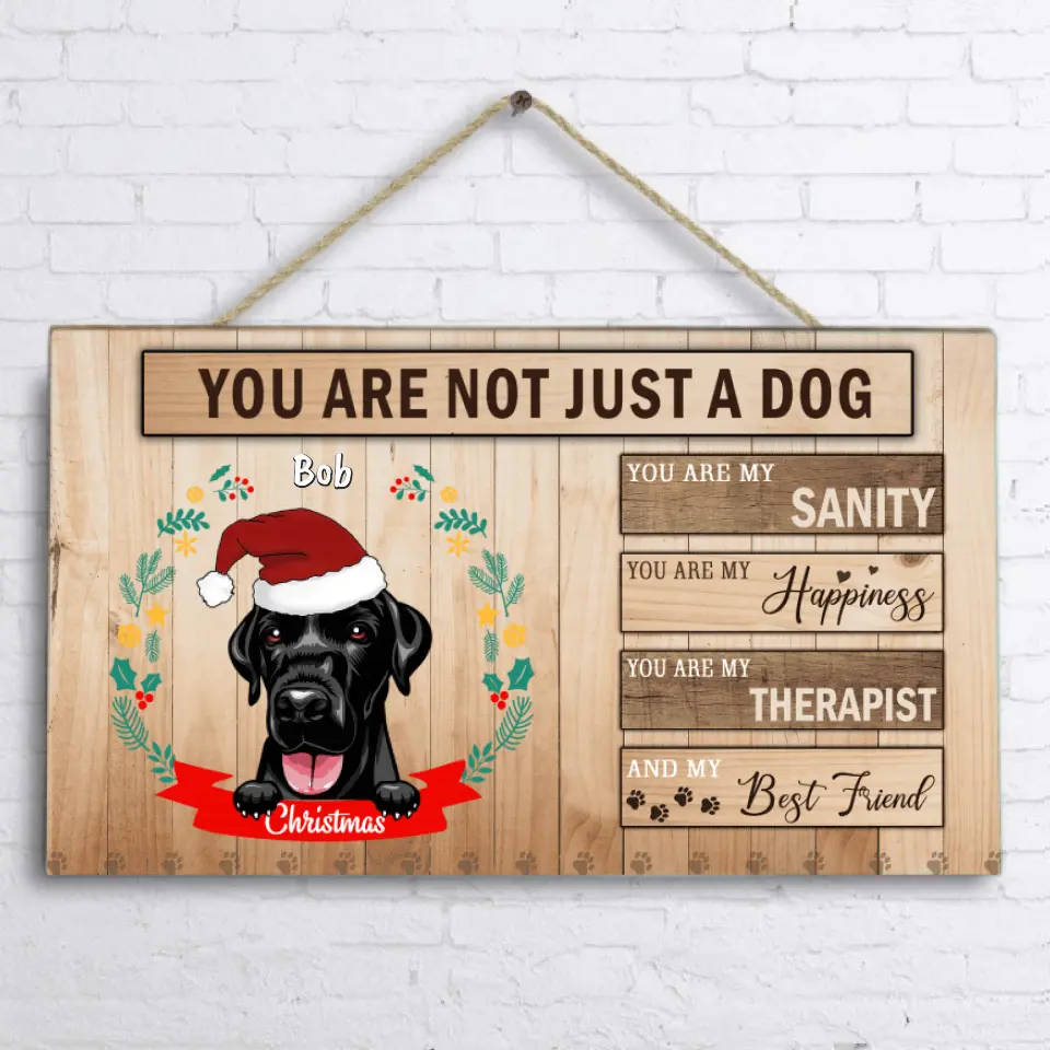 Personalized Front Pet Door Sign - Best Idea For Christmas, Dog Lovers and Cat Lovers - You Are Not Just A Dog