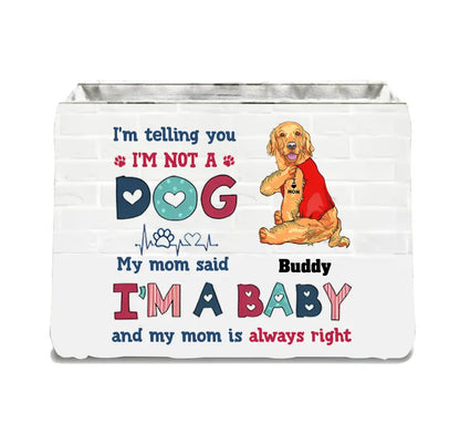 Personalized Pet Storage Box - Up to 10 Dogs/Cats - Gift Idea for Pet Lovers - I'm Telling You I'm Not A Dog