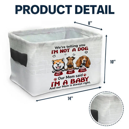 Personalized Pets Storage Box - Up to 4 Dogs/Cats - Gift Idea for Pet Lovers - Our Mom Said Were Babies
