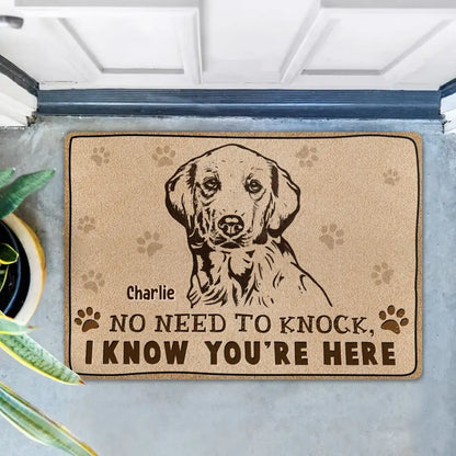 Personalized Welcome Doormat - Upload Pet's Photos - Gift Idea For Dog Lover - No Need To Knock I Know You're Here