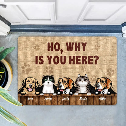 Personalized Pets Lover Doormat - Up to 5 Pets - Best Gift For Dog Lover/Cat Lover