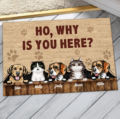 Personalized Pets Lover Doormat - Up to 5 Pets - Best Gift For Dog Lover/Cat Lover