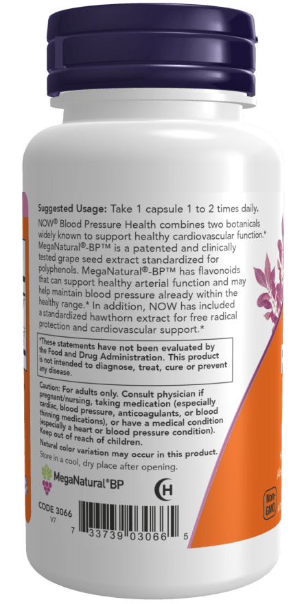 Blood Pressure Health