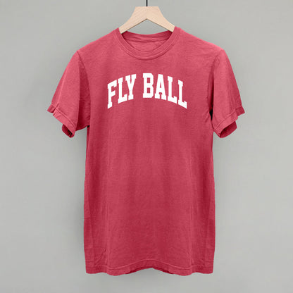 Fly Ball Arch