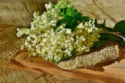 Elderflowers, Whole, Organic