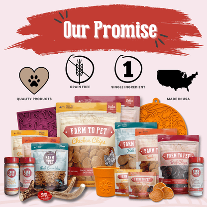 Beef Chips Snack Pack Bundles | Dog Treats for Training & Travel