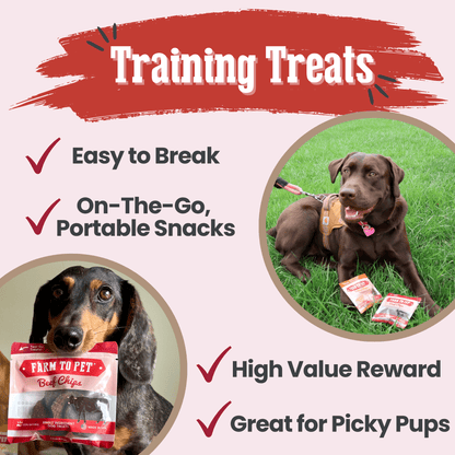 Beef Chips Snack Pack Bundles | Dog Treats for Training & Travel