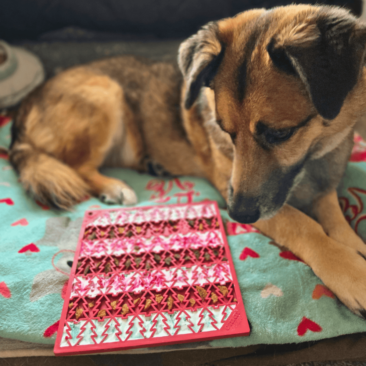 Dog Lick Mats