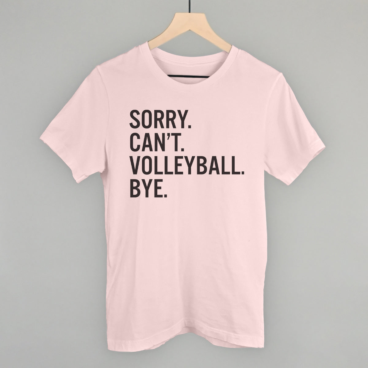 Sorry Can't Volleyball Bye