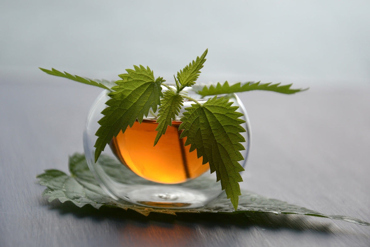 Nettle Leaf, Cut, Sifted