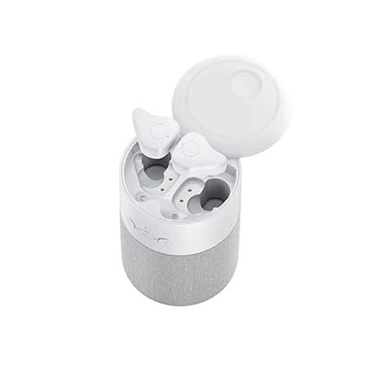 Bluetooth Speakers and Wireless Earbuds Combo