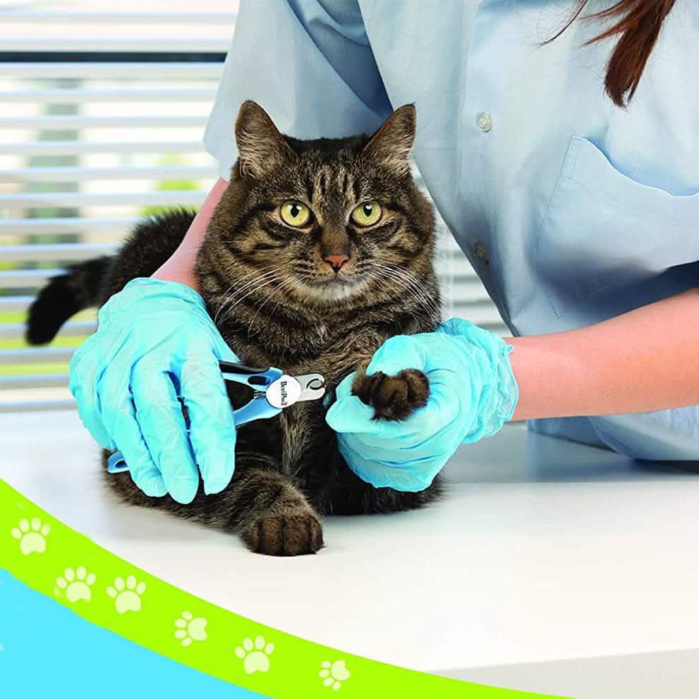 Cat & Dog Nail Clippers & Trimmers with Safety Guards