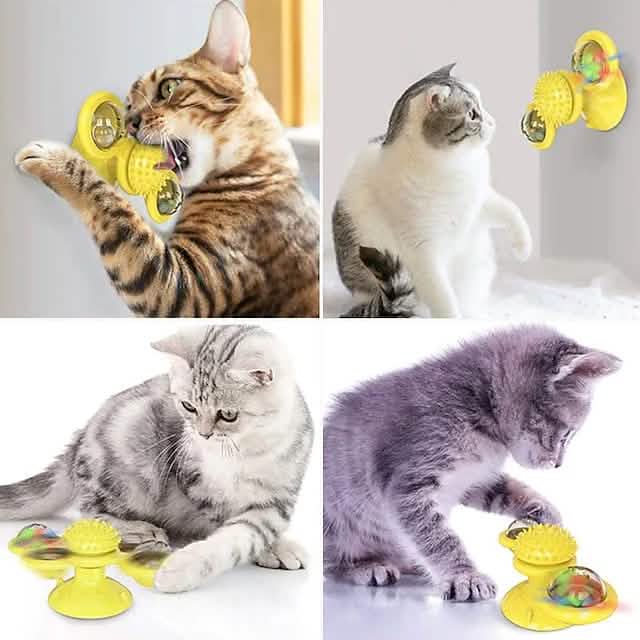 Cat Teases Interactive Pet Toy