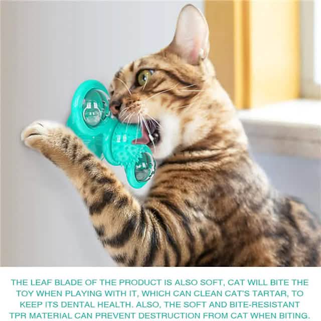 Cat Teases Interactive Pet Toy