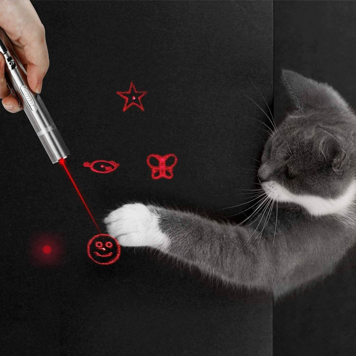 Cats Indoor and Outdoor Laser Toy