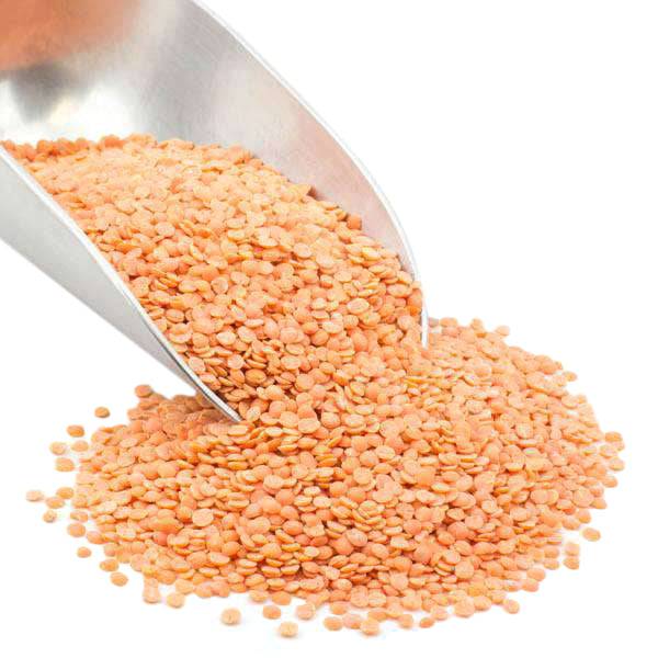 Red Lentils, Split, Organic