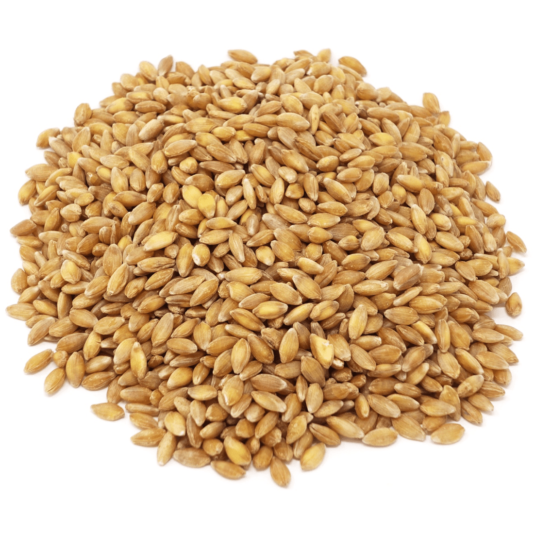 Einkorn Berries, Organic