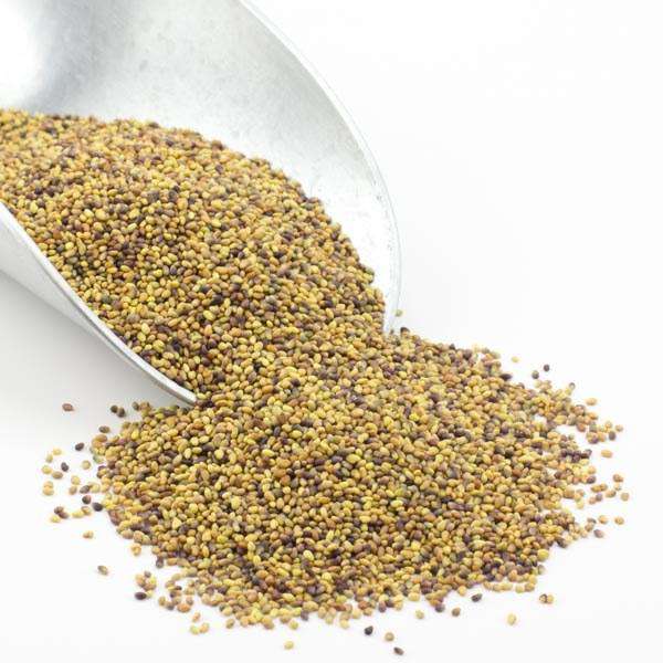 Clover Seeds, Red, Organic