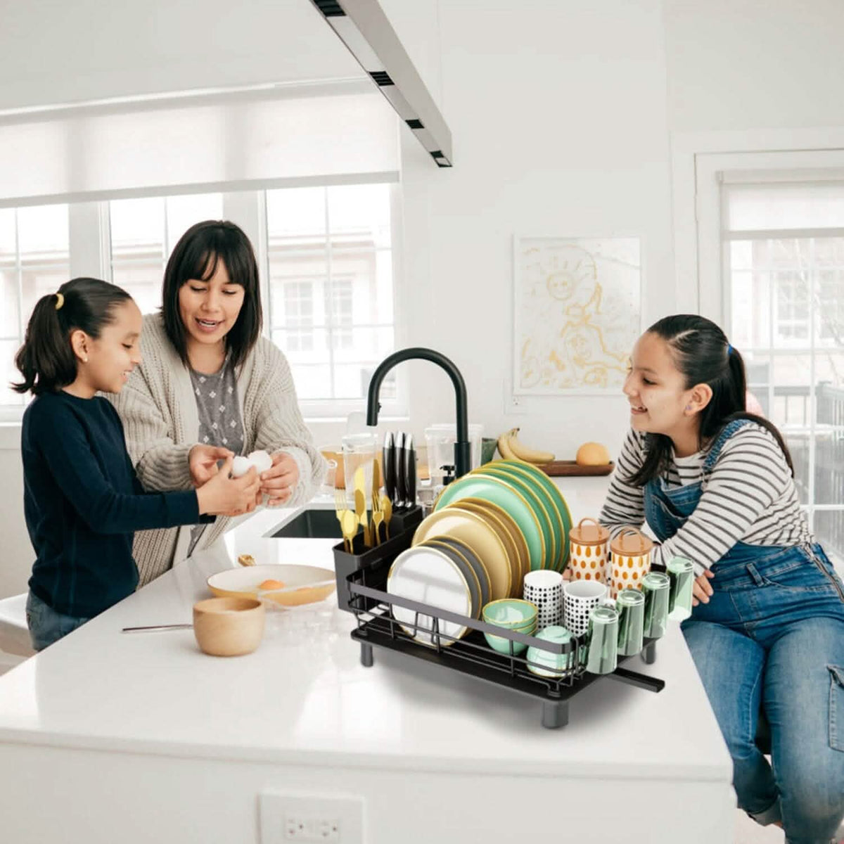 Dish Drying Rack Drain Board Utensil Holder Organizer