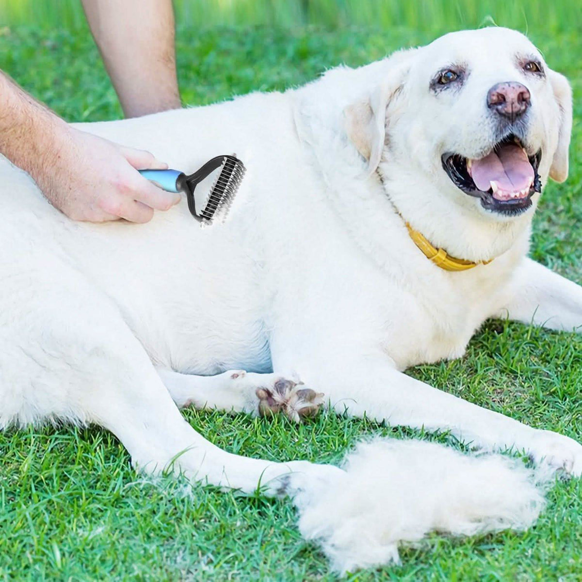 Dog and Cats 2 Sided Grooming Rakes