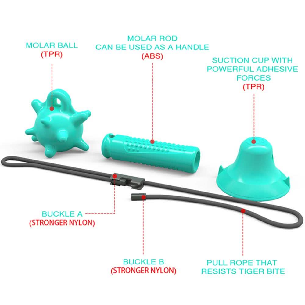 Dog Toys Silicon Suction Cup