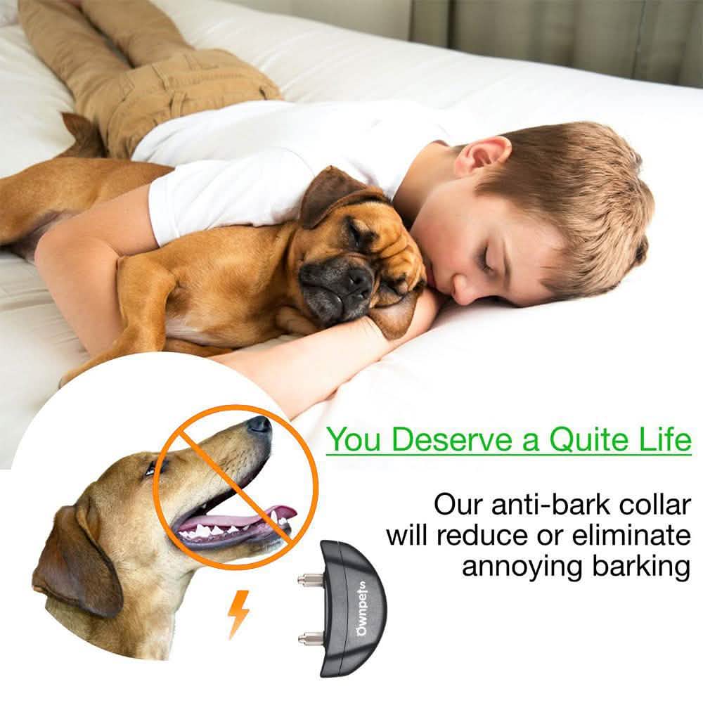 Electric Pet Dog Anti-Bark Training Collar Safe Tone Shock Control Adjustable
