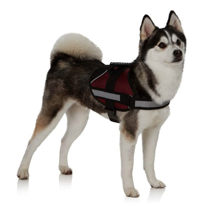 Ez-Pet Vest Collar Soft Adjustable Harness