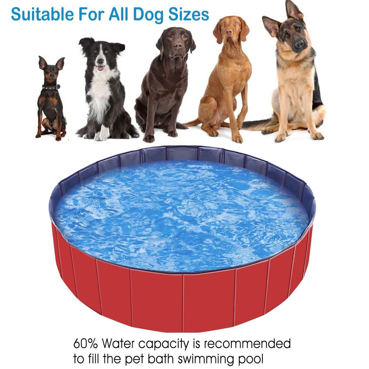 Foldable Pet Swimming Pool PVC