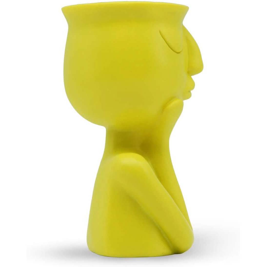 Greneric Character Portrait Flower Pot Resin Succulents Plant Pot