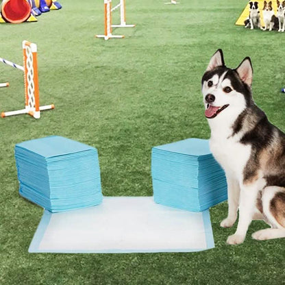 Heavy-Duty Training Pads for Pets