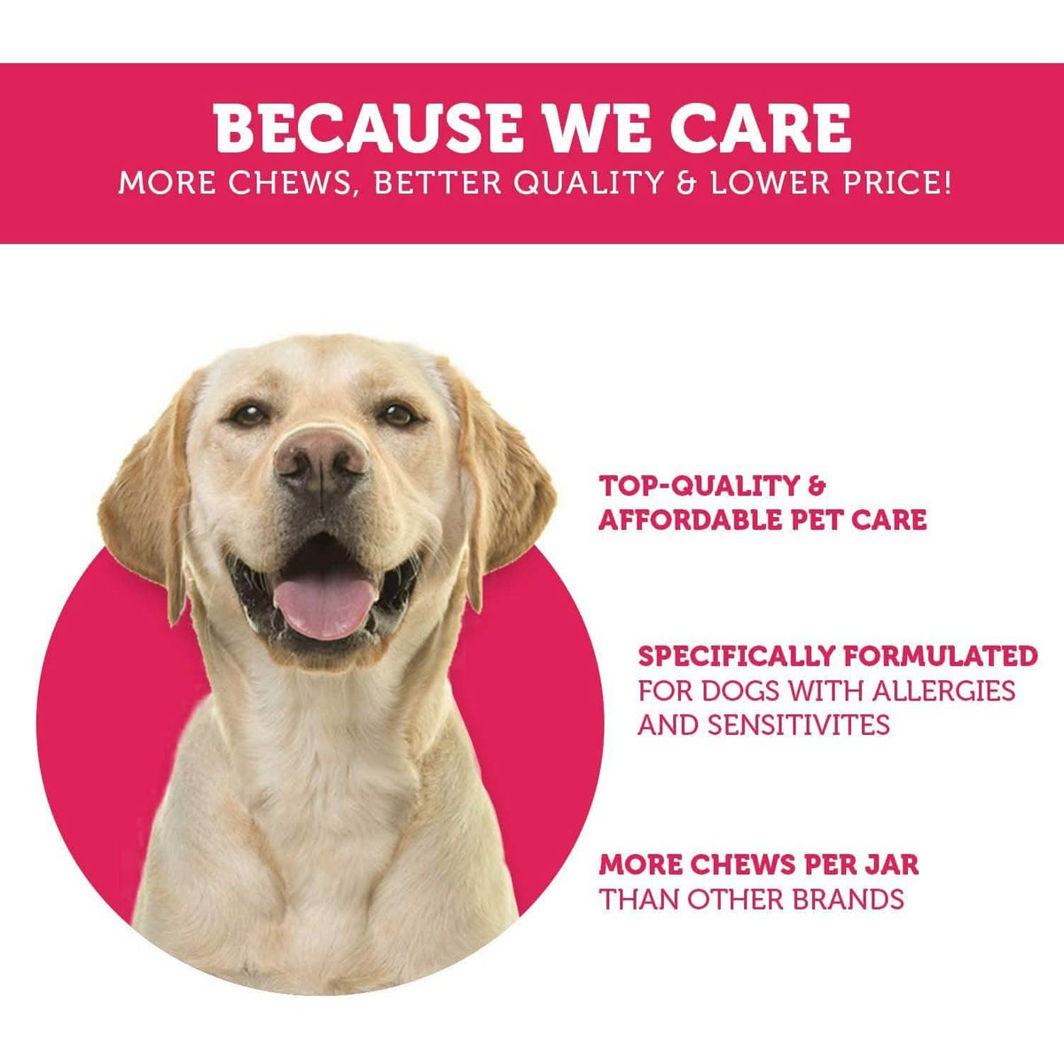 Hip and Joint Advanced Level 2 Formula All Natural Glucosamine Supplement for Dogs and Cat