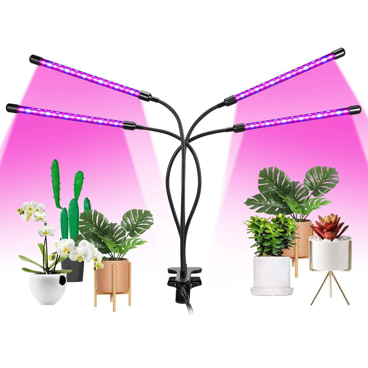 iMounTEK 80W 80 LEDs Plant Lights