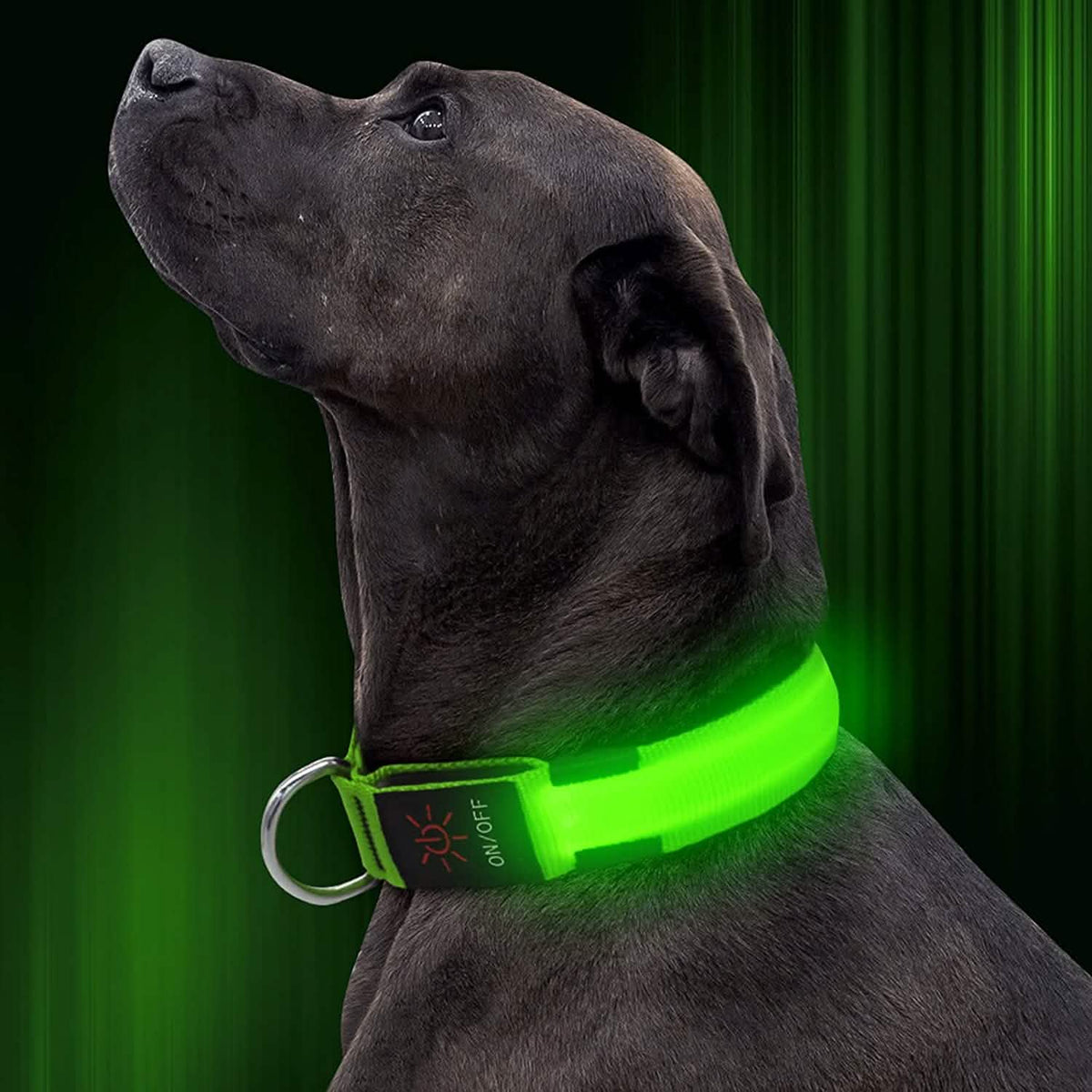 LED Pet Collar