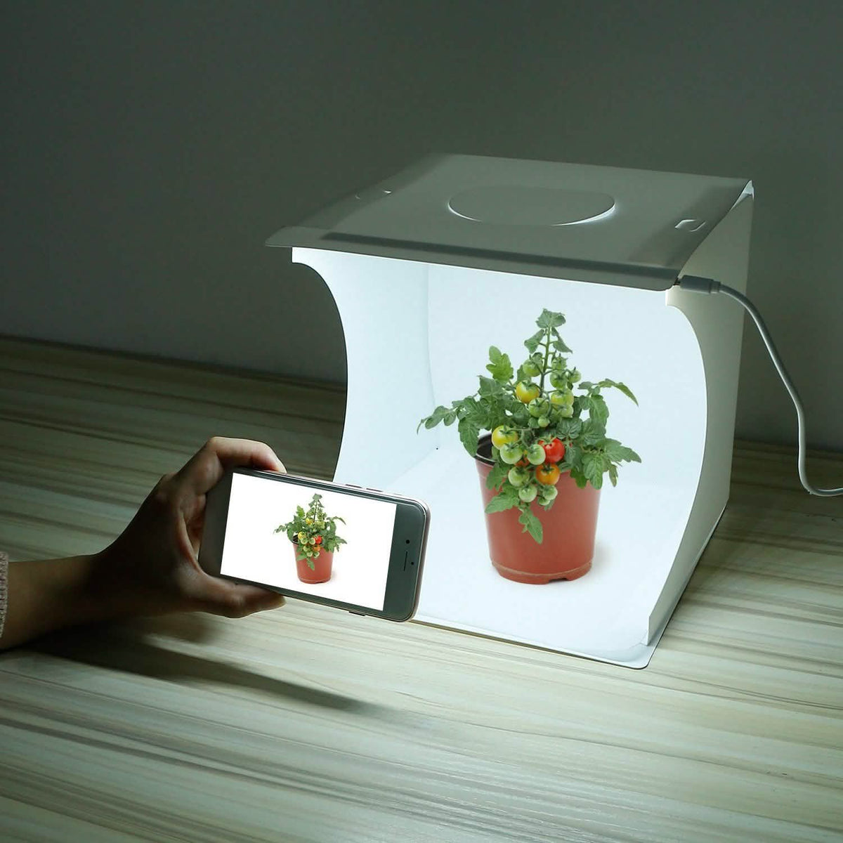 Mini Photo Studio Box Photography with 6 Color Backdrops